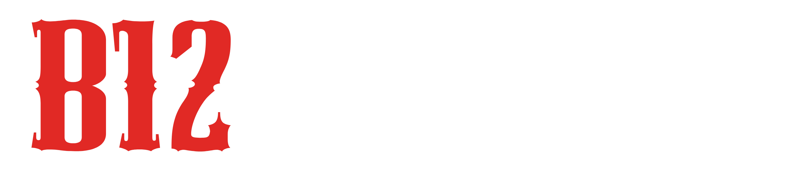 B12 Burger